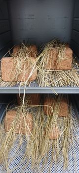 초보퍼머5도2촌준비님의 자유주제·자유게시판 작성글 사진