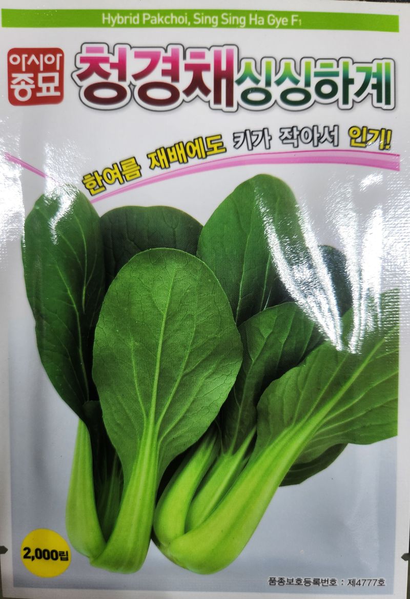 장터 상품 [청경채싱싱하계 2000립 3봉 남은수량특가] 썸네일