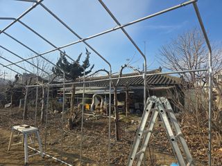 ♡청심전유삼♡님의 자유주제 · 자유게시판 작성글 사진