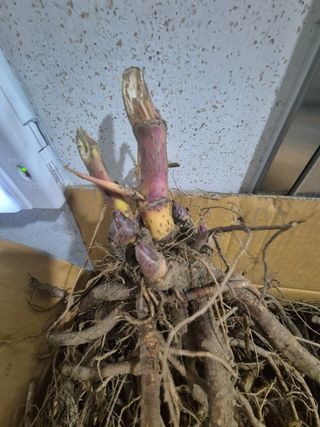 김샛별님의 자유주제·자유게시판 작성글 사진