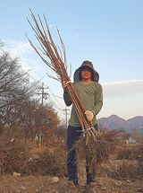 팜모닝 · 게시글 이미지