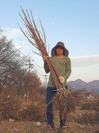 뿌리깊은나무농원님의 작성글 사진
