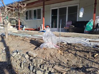 김용대님의 자유주제 · 자유게시판 작성글 사진