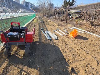 ♡청심전유삼♡님의 자유주제 · 자유게시판 작성글 사진