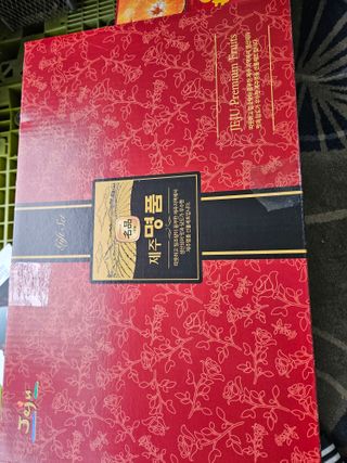 제주 지안이네농장님의 자유주제 · 자유게시판 작성글 사진