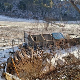 가로수님의 자유주제 · 자유게시판 작성글 사진