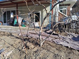 김용대님의 자유주제 · 자유게시판 작성글 사진