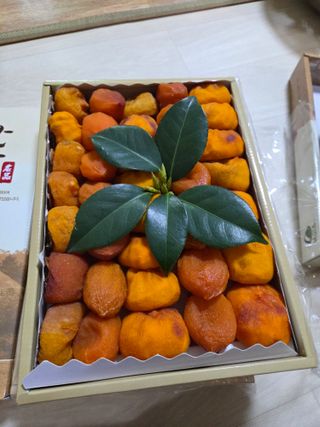 농촌사랑님의 자유주제 · 자유게시판 작성글 사진