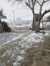 제주 지안이네농장님의 자유주제·자유게시판 작성글 사진