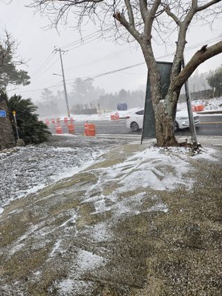 제주 지안이네농장님의 자유주제 · 자유게시판 작성글 사진