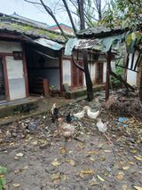 팜모닝 · 게시글 이미지