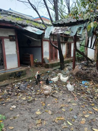 은행5k35000원님의 작성글 사진