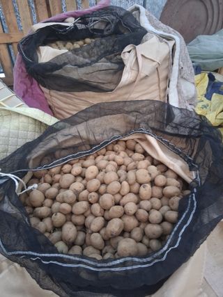 김복철님의 작성글 사진