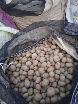 김복철님의 작성글 사진