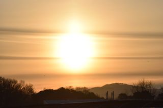 박희영님의 자유주제 · 자유게시판 작성글 사진