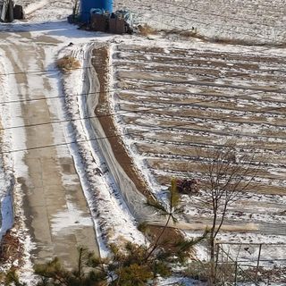 가로수님의 자유주제 · 자유게시판 작성글 사진