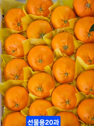 제주 지안이네농장님의 자유주제 · 자유게시판 작성글 사진