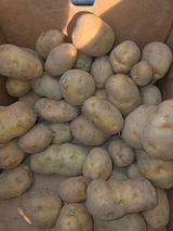 팜모닝 자유주제·자유게시판 게시글 이미지