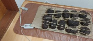 낙엽교목류15665님의 자유주제 · 자유게시판 작성글 사진