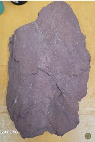 정찬영님의 자유주제 · 자유게시판 작성글 사진