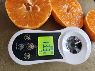 제주 지안이네농장님의 작성글 사진