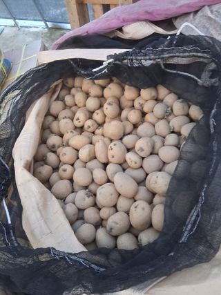 김복철님의 작성글 사진