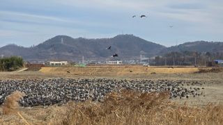 국중선님의 자유주제·자유게시판 작성글 사진