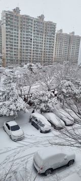 박순덕님의 자유주제·자유게시판 작성글 사진