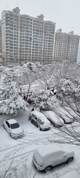 박순덕님의 자유주제 · 자유게시판 작성글 사진