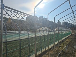 ♡청심전유삼♡님의 자유주제 · 자유게시판 작성글 사진