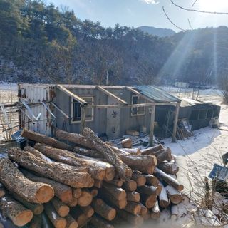 가로수님의 자유주제 · 자유게시판 작성글 사진