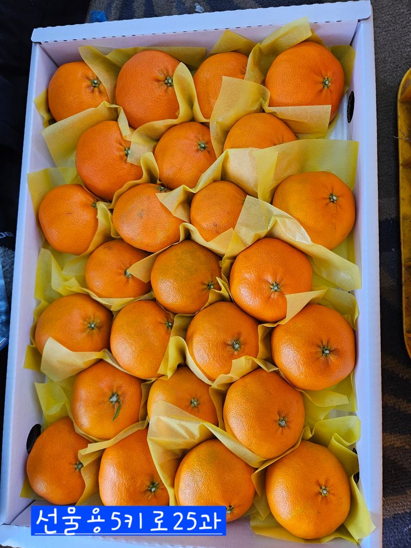 제주 지안이네농장님의 장터 판매 상품 [레드향] 첨부 사진