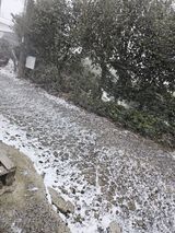 팜모닝 자유주제·자유게시판 게시글 이미지