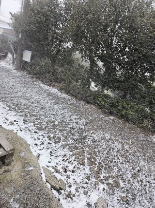 제주 지안이네농장님의 자유주제 · 자유게시판 작성글 사진