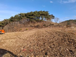 Ko01647283님의 작성글 사진