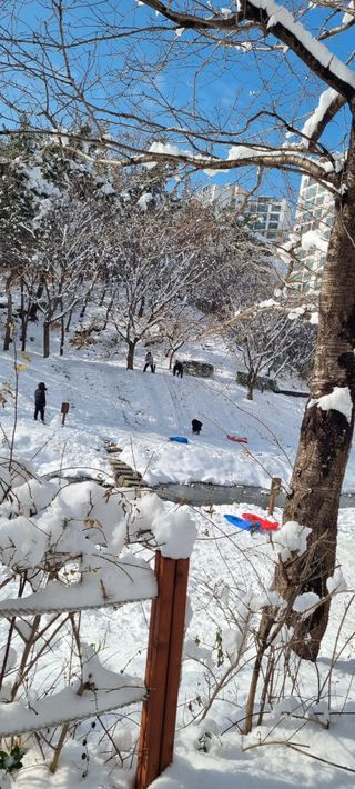 박순덕님의 자유주제 · 자유게시판 작성글 사진
