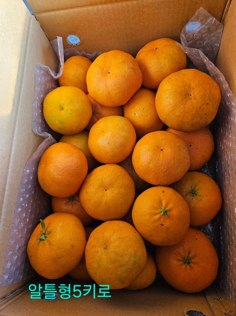 제주 지안이네농장님의 장터 판매 상품 [레드향] 첨부 사진