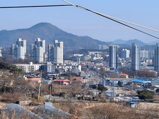 MSG0074님의 자유주제 · 자유게시판 작성글 사진