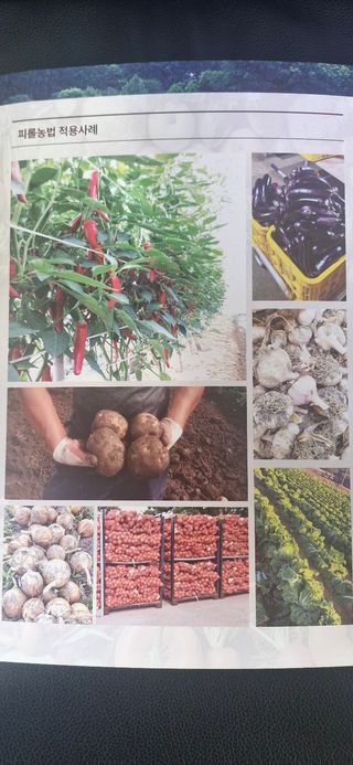 피롤땅지기님의 자유주제 · 자유게시판 작성글 사진