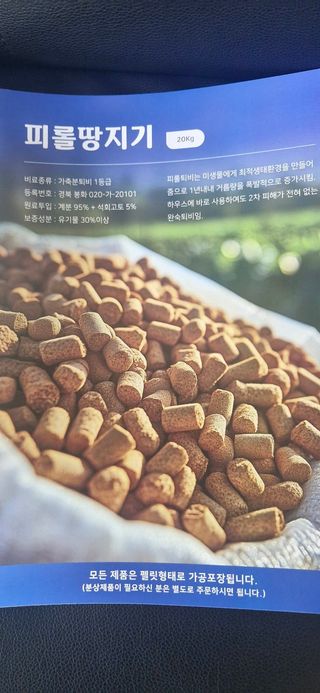 피롤땅지기님의 자유주제 · 자유게시판 작성글 사진