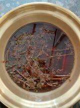 팜모닝 자유주제·자유게시판 게시글 이미지