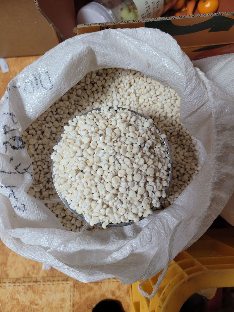 신동익님의 장터 판매 상품 [찰옥수수쌀] 첨부 사진