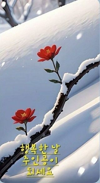 SOUL님의 자유주제 · 자유게시판 작성글 사진