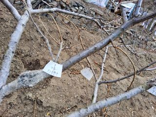 김용대님의 자유주제 · 자유게시판 작성글 사진