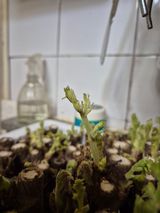 팜모닝 자유주제·자유게시판 게시글 이미지