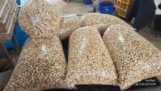 정권옥님의 자유주제 · 자유게시판 작성글 사진