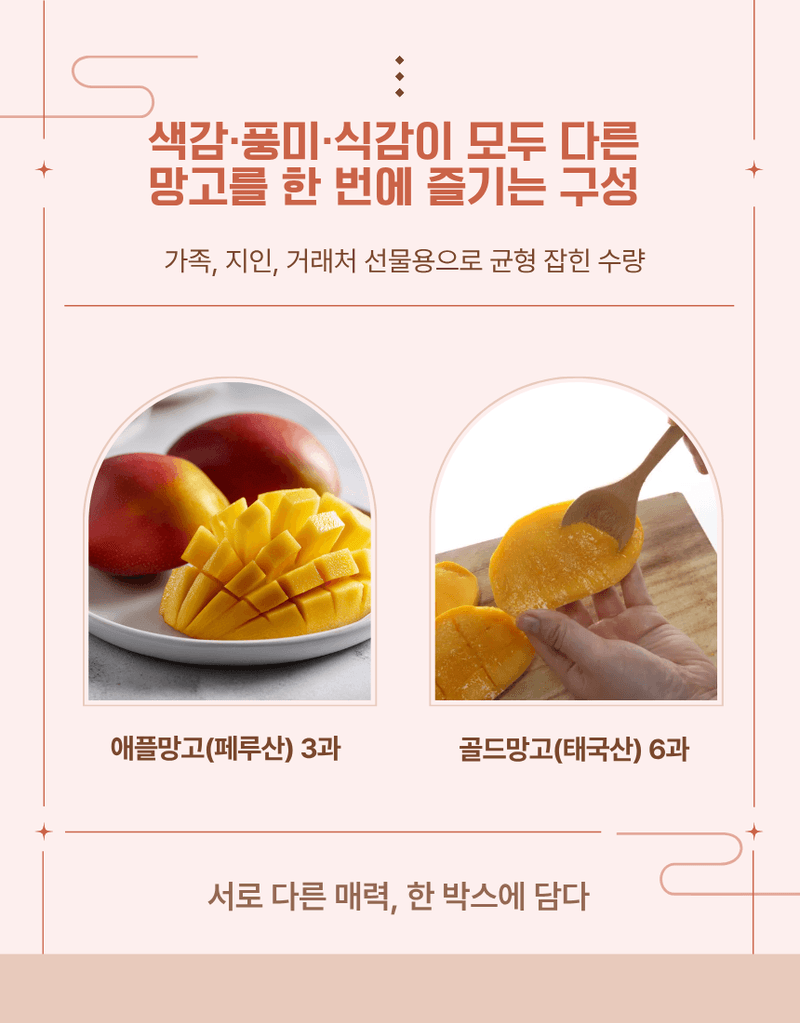과일팩토리님의 장터 판매 상품 [[프리미엄 수입망고] 애플망고3 골드망고6 혼합 9구 선물세트] 첨부 사진