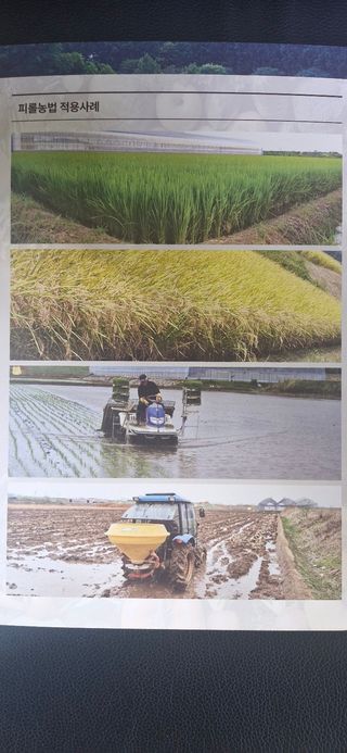 피롤땅지기님의 자유주제 · 자유게시판 작성글 사진