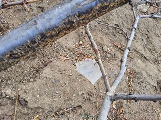 김용대님의 자유주제 · 자유게시판 작성글 사진