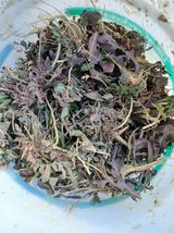 팜모닝 자유주제·자유게시판 게시글 이미지